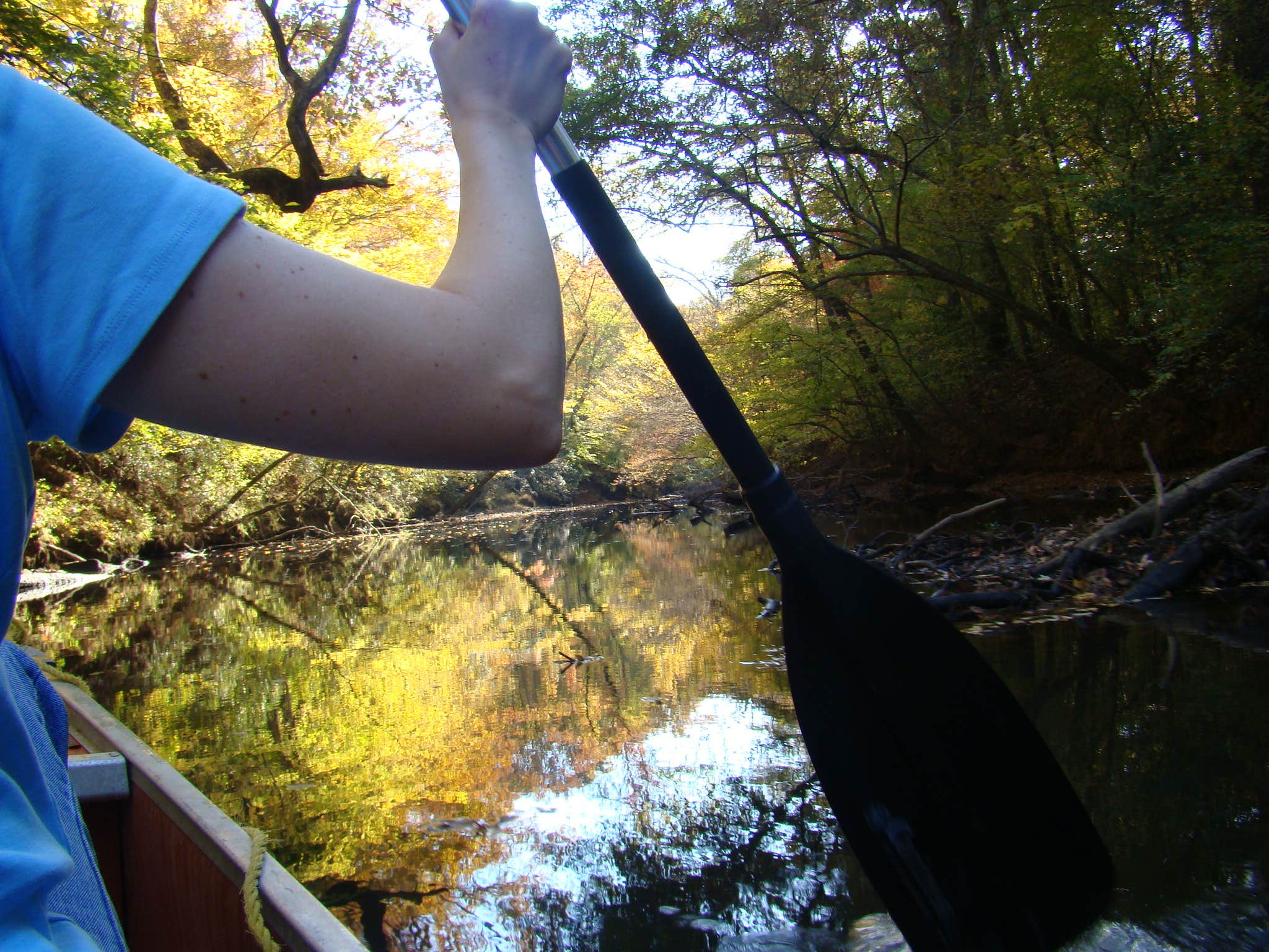 Camper submitted image from Medoc Mountain State Park Campground - 5