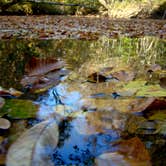 Review photo of Medoc Mountain State Park Campground by Caroline G., November 1, 2018