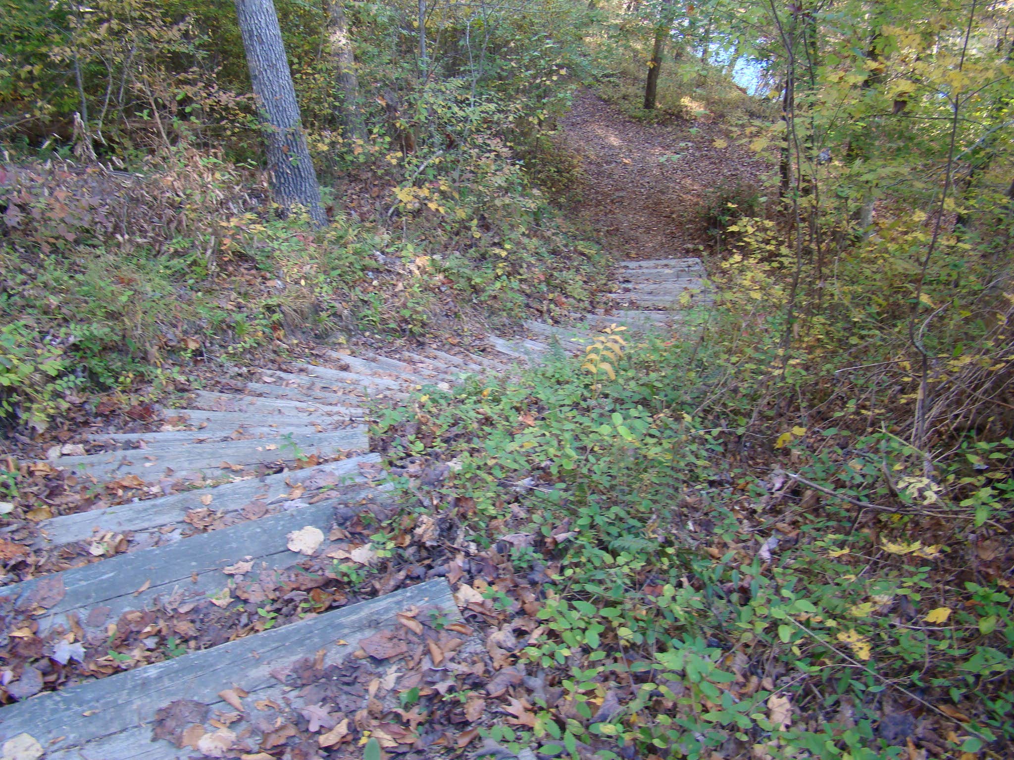 undefined photo 2