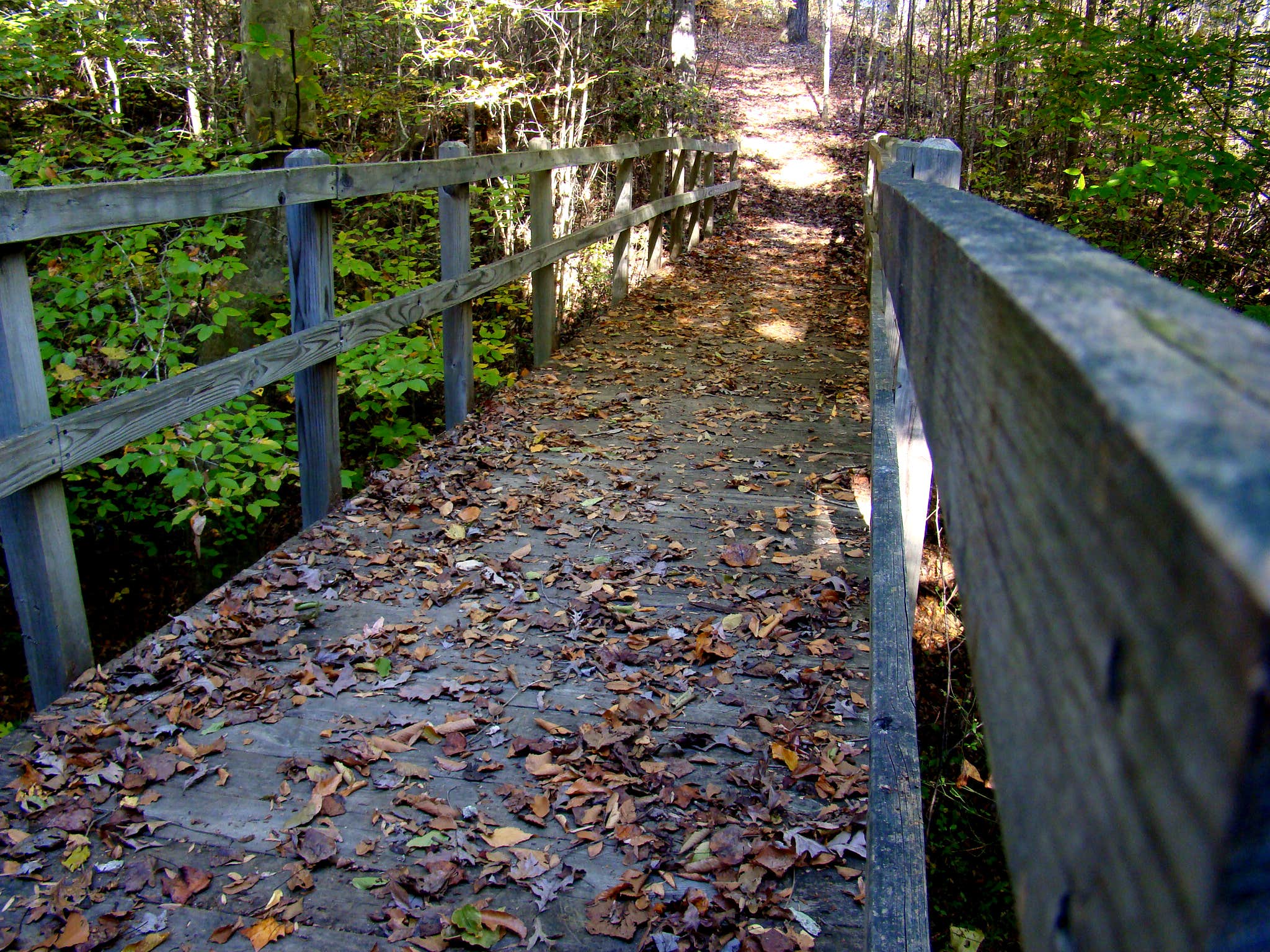 Camper submitted image from Medoc Mountain State Park Campground - 2