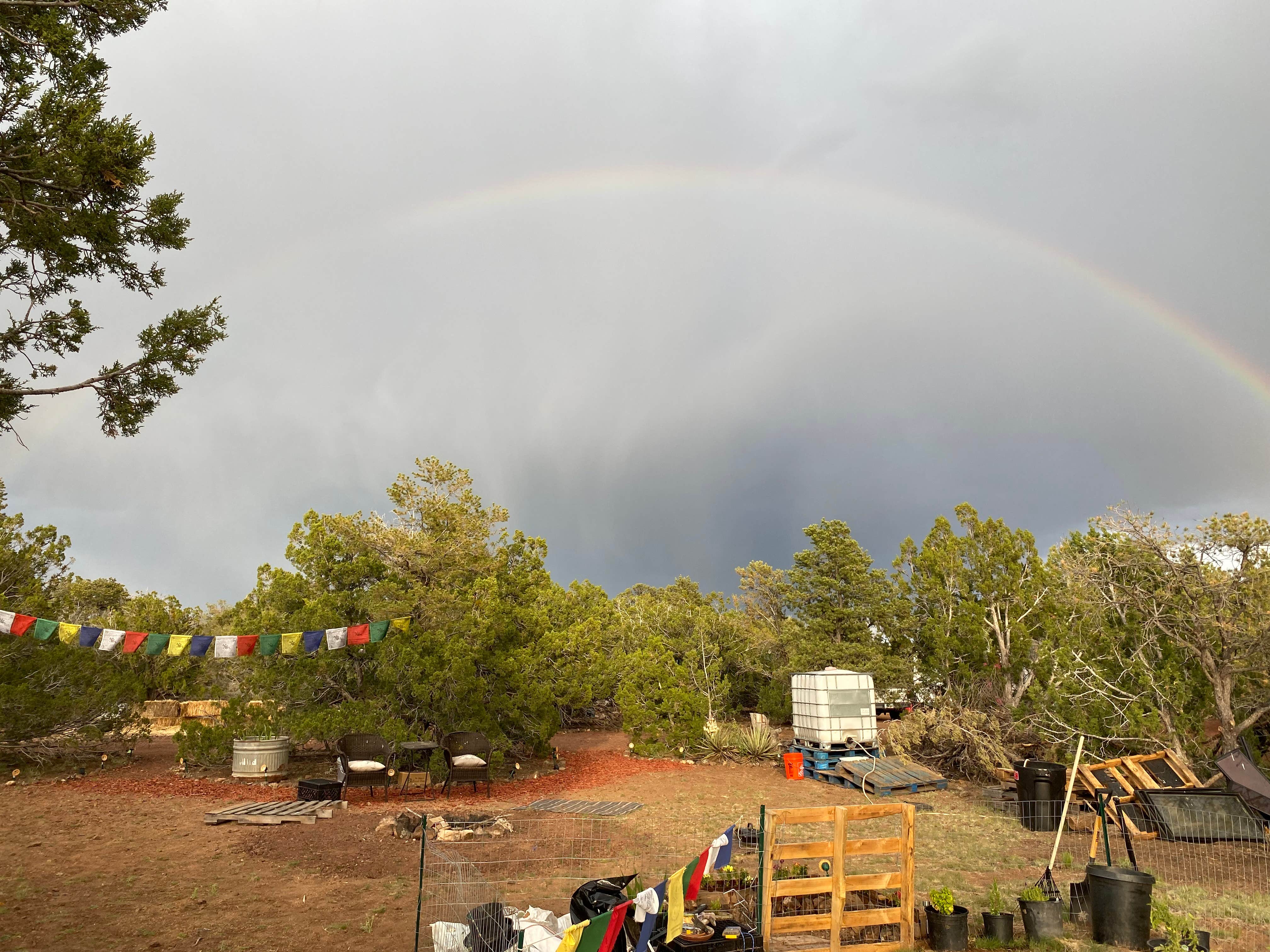 Stacie M.'s photo at So Many Roads near Kaibab National Forest