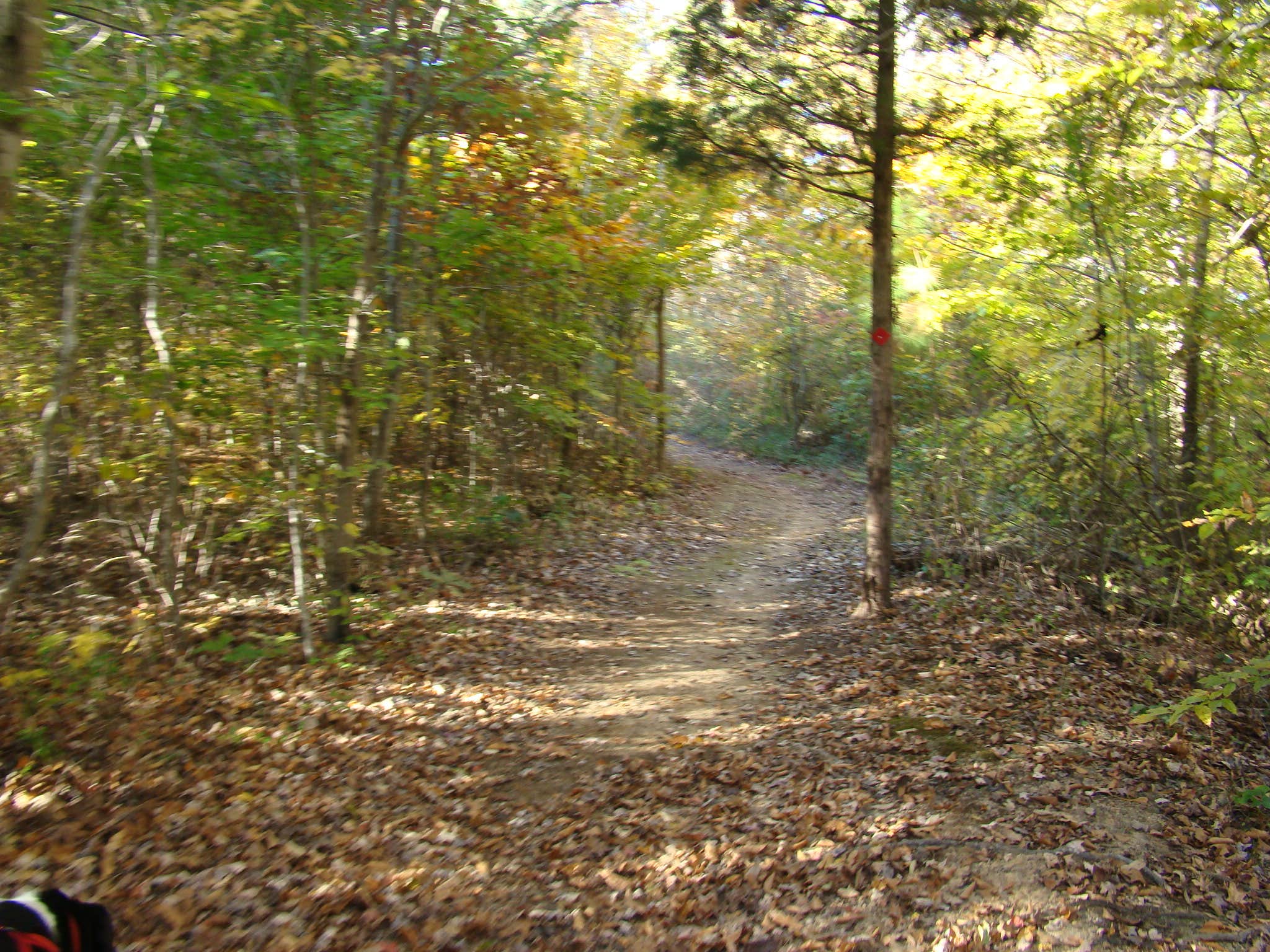 Camper submitted image from Medoc Mountain State Park Campground - 3