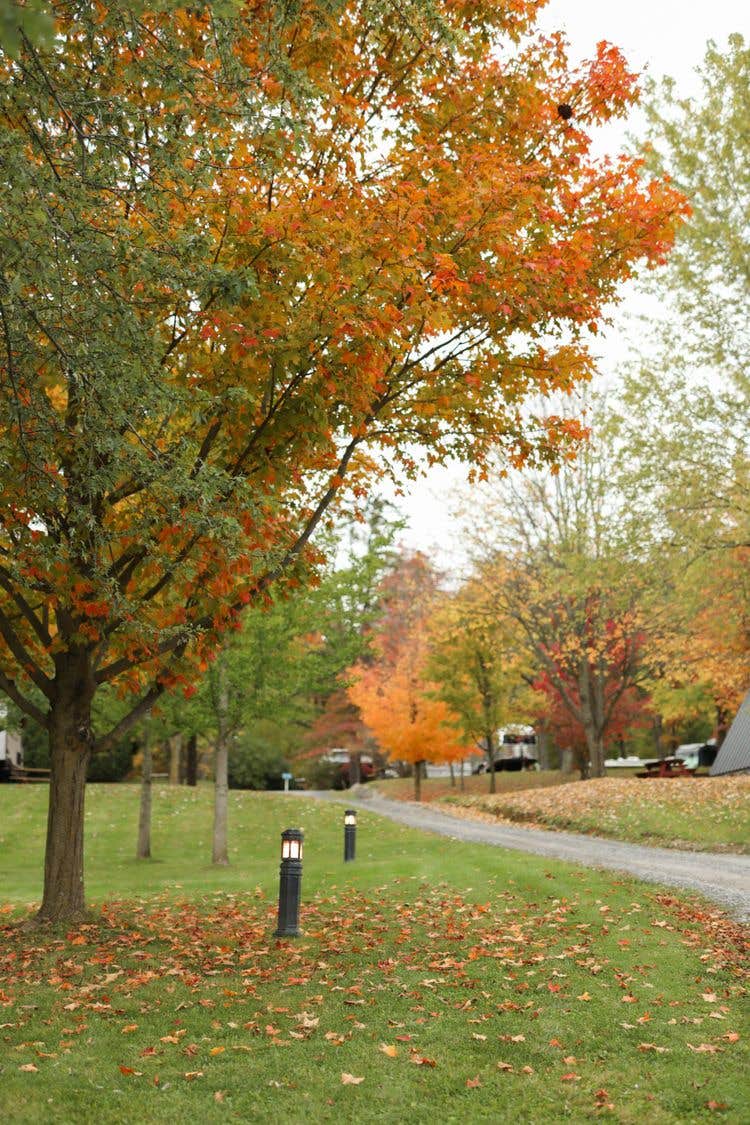 Camper submitted image from The Bellefonte Campground - 2