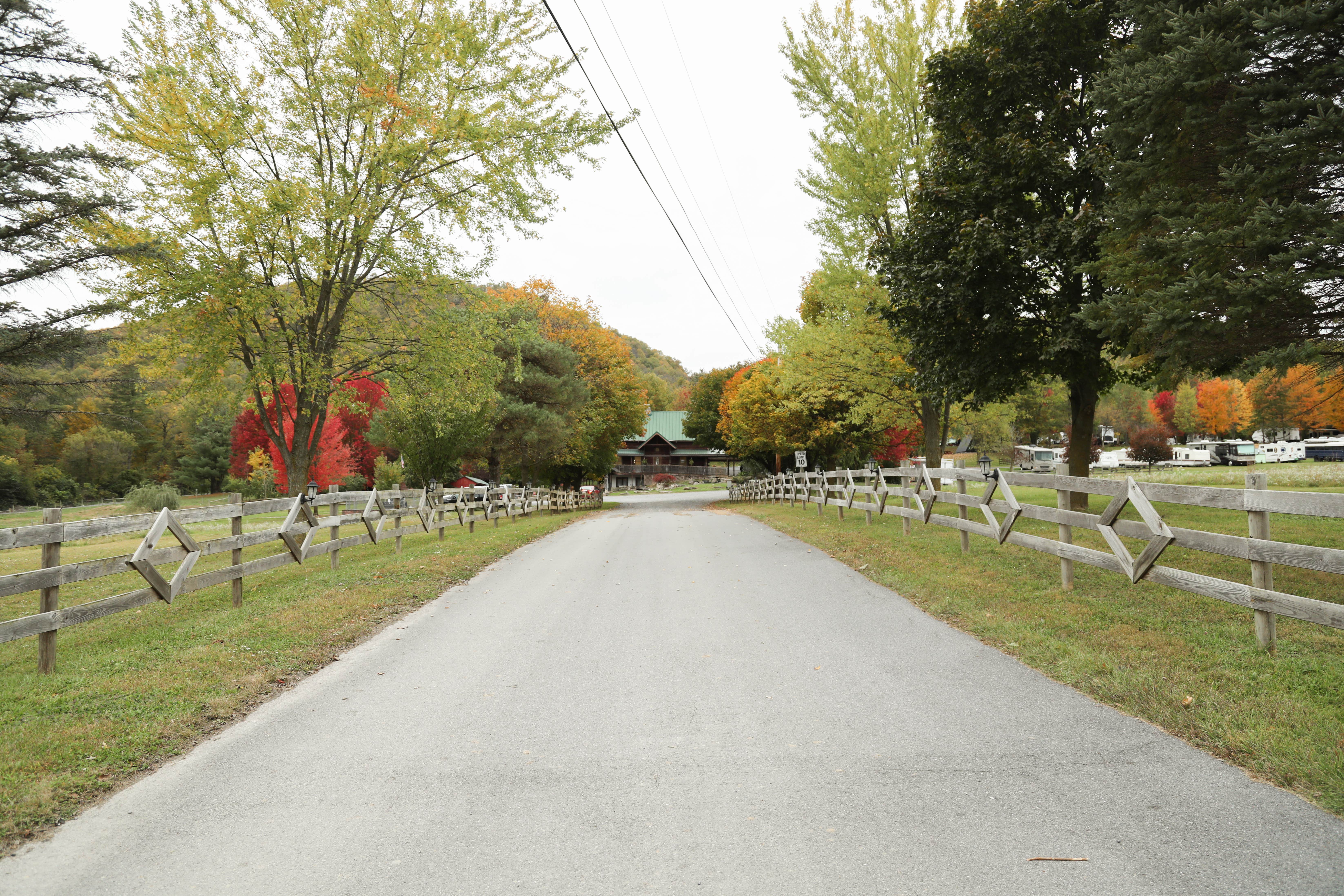 Camper submitted image from The Bellefonte Campground - 1