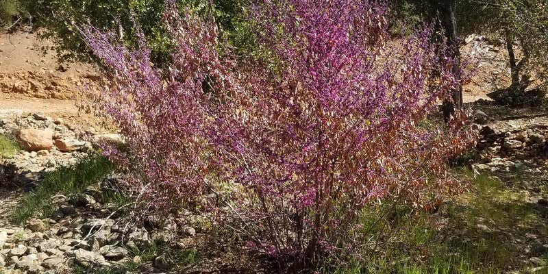 Camper submitted image from Potato Hill Group