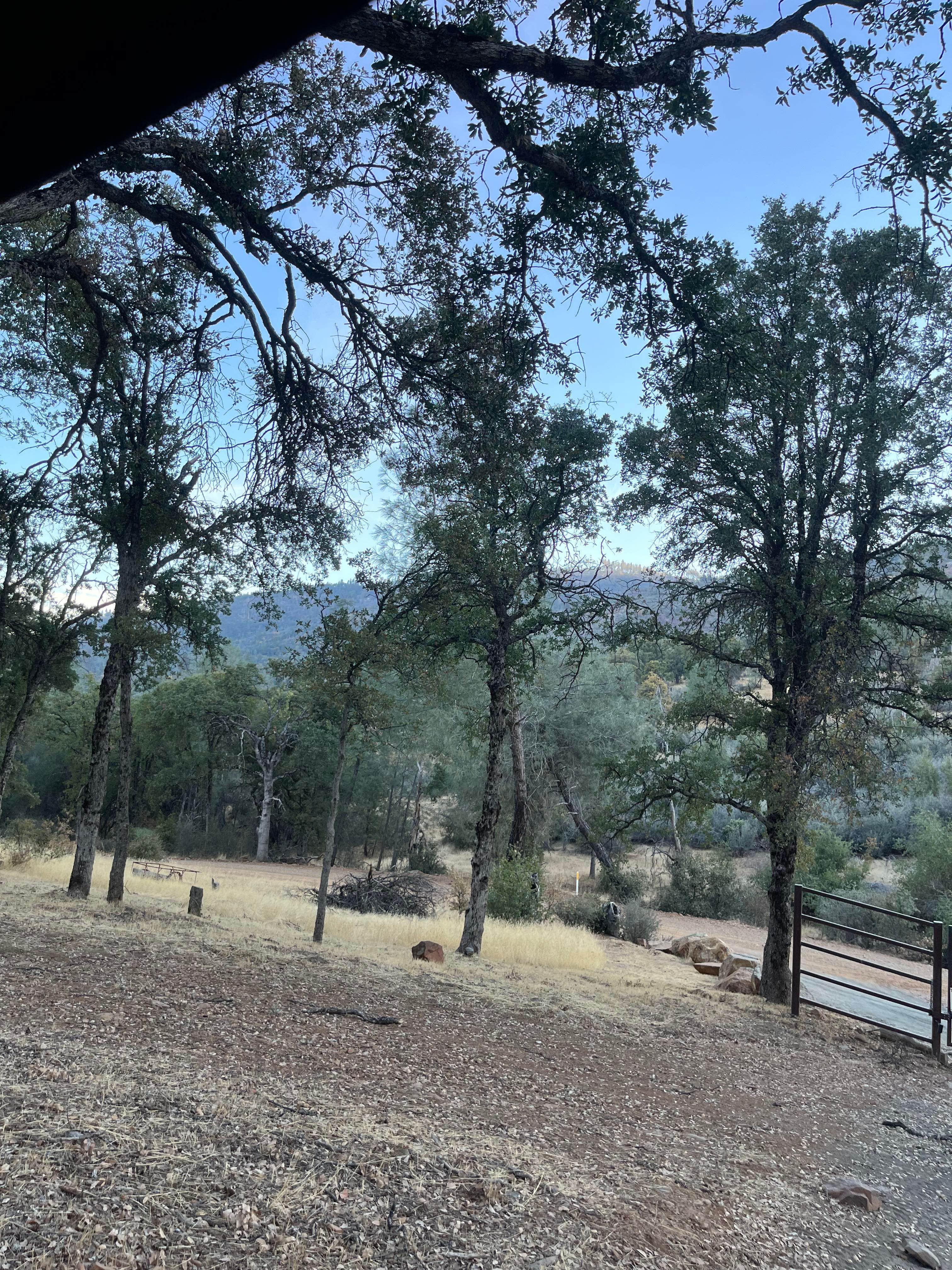 Debra B.'s photo of camping with pets at Potato Hill Group near Eastman Lake