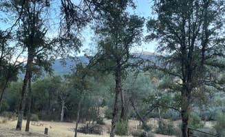 Debra B.'s photo of camping with pets at Potato Hill Group near Eastman Lake