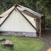 Review photo of Umpqua's Last Resort & Oregon Mountain Guides by Lee D., November 8, 2023
