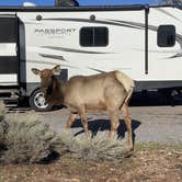 Review photo of Trailer Village RV Park — Grand Canyon National Park by Lee D., November 8, 2023