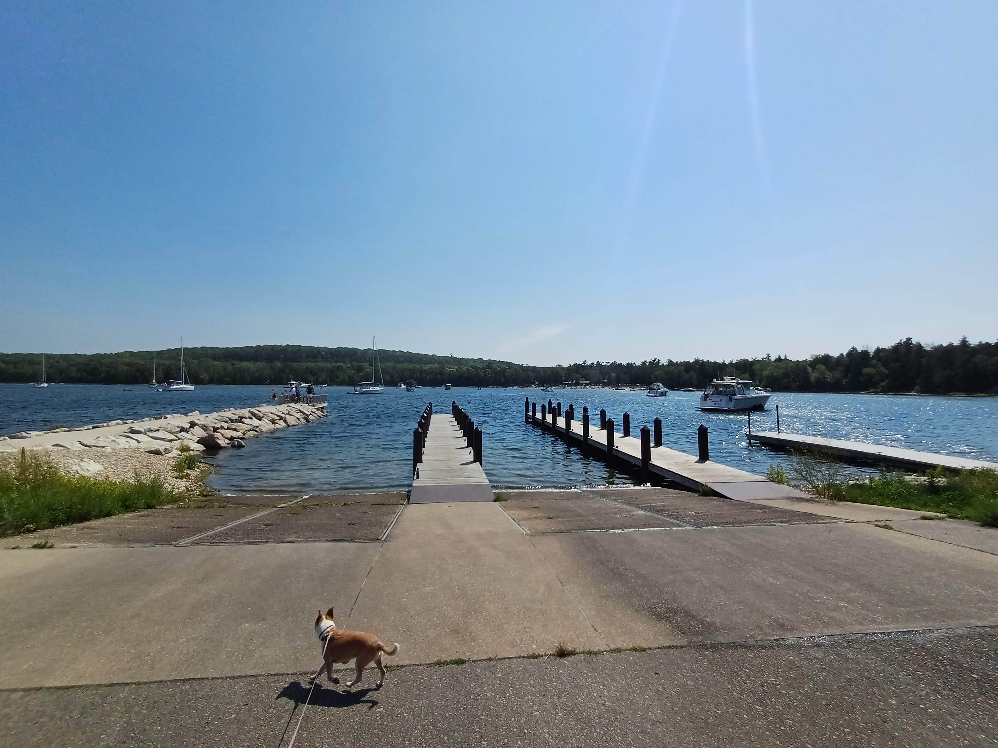 Laura M.'s photo of camping with pets at North Nicolet Bay Campground — Peninsula State Park near Menominee, MI
