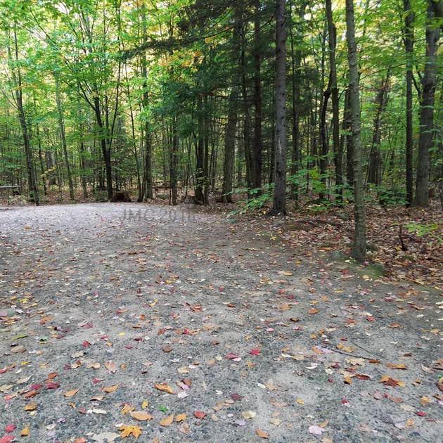 Hancock Campground Camping The Dyrt