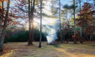 Camping near Ellis-Haven Family Campground: Cozy Wooded Nook, Plymouth, Massachusetts