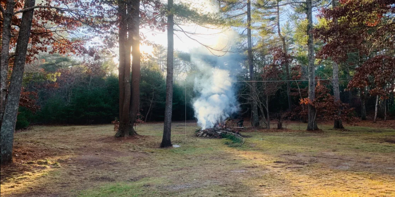 Camper submitted image from Cozy Wooded Nook