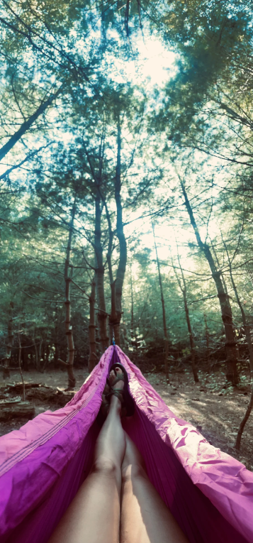 Ashley F.'s photo at Cozy Wooded Nook near Avon, MA