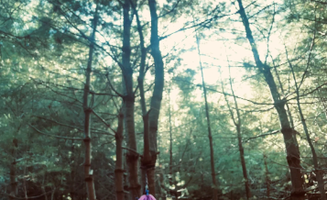 Ashley F.'s photo at Cozy Wooded Nook near Taunton, MA