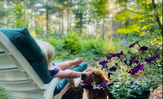 Ashley F.'s photo of camping with pets at Cozy Wooded Nook near Kingston, MA