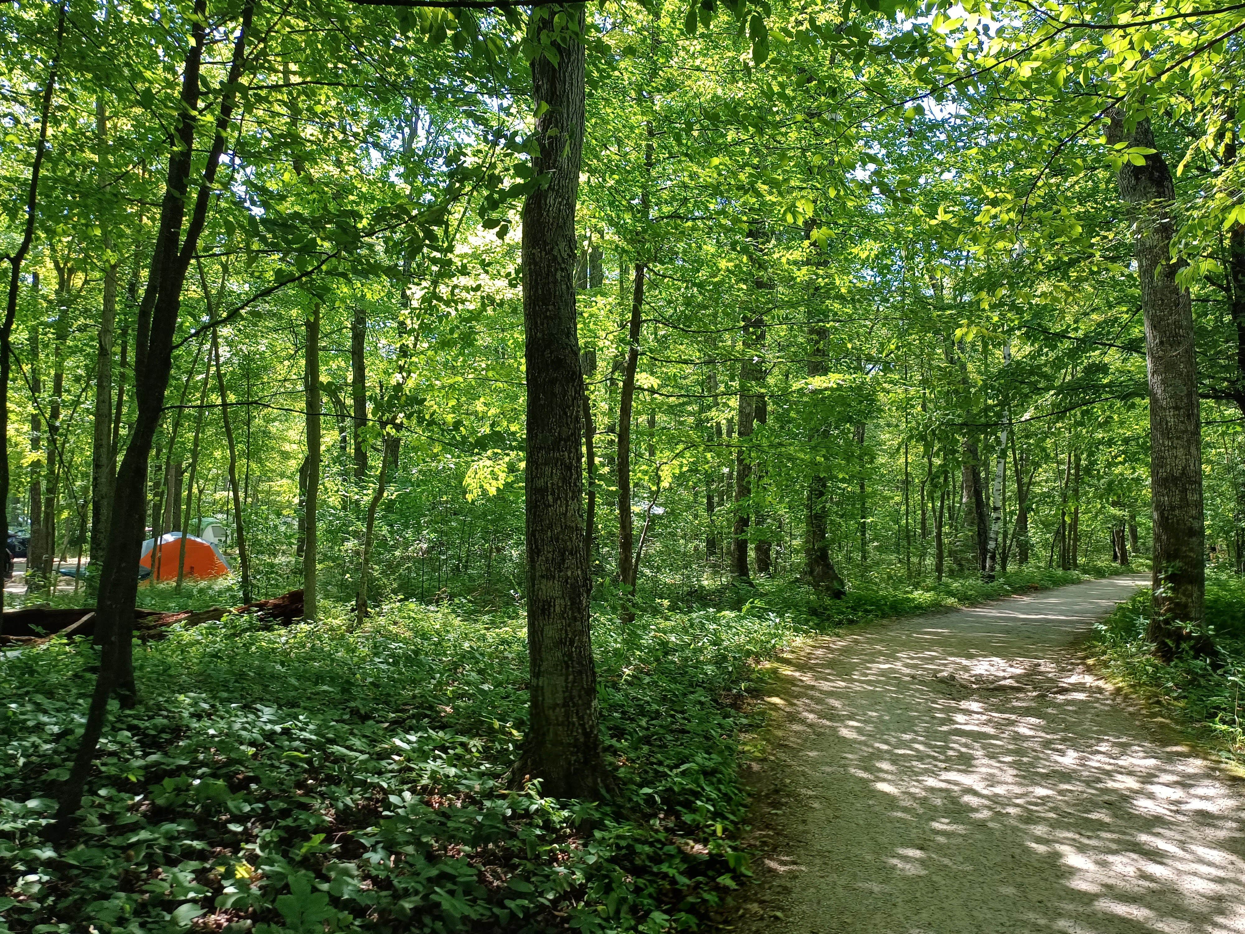 Laura M.'s photo of tent camping at Welcker's Point Campground — Peninsula State Park near Ephraim, WI