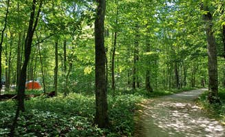 Laura M.'s photo of tent camping at Welcker's Point Campground — Peninsula State Park in Wisconsin