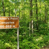 Review photo of Welcker's Point Campground — Peninsula State Park by Laura M., November 8, 2023