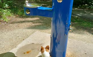 Laura M.'s photo of camping with pets at Welcker's Point Campground — Peninsula State Park near Ephraim, WI