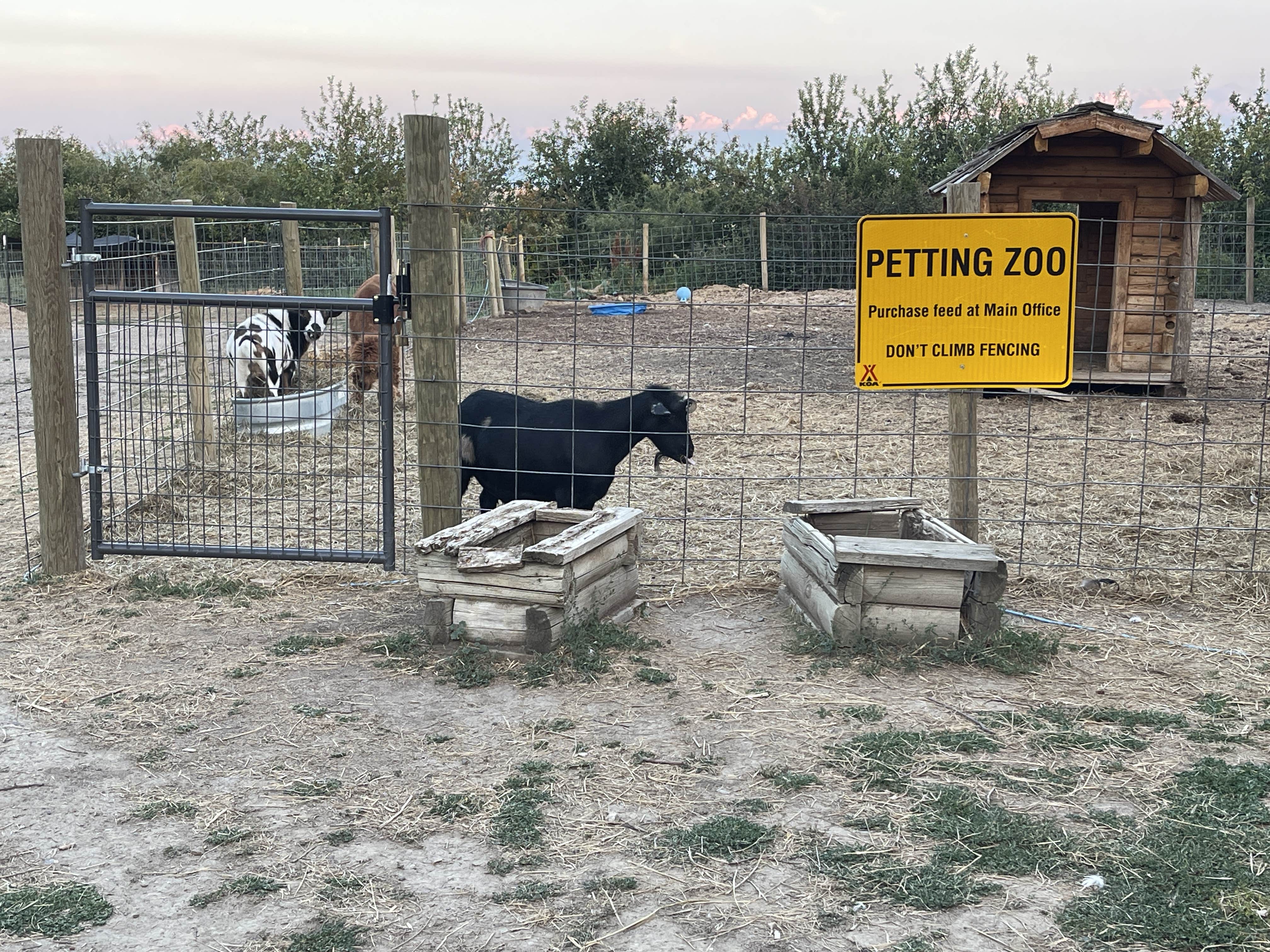 Lee D.'s photo of camping with pets at Great Falls KOA near Choteau, MT