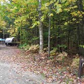 Review photo of Hancock Campground by Jean C., November 1, 2018