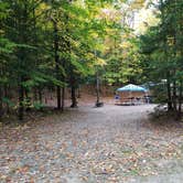 Review photo of Hancock Campground by Jean C., November 1, 2018