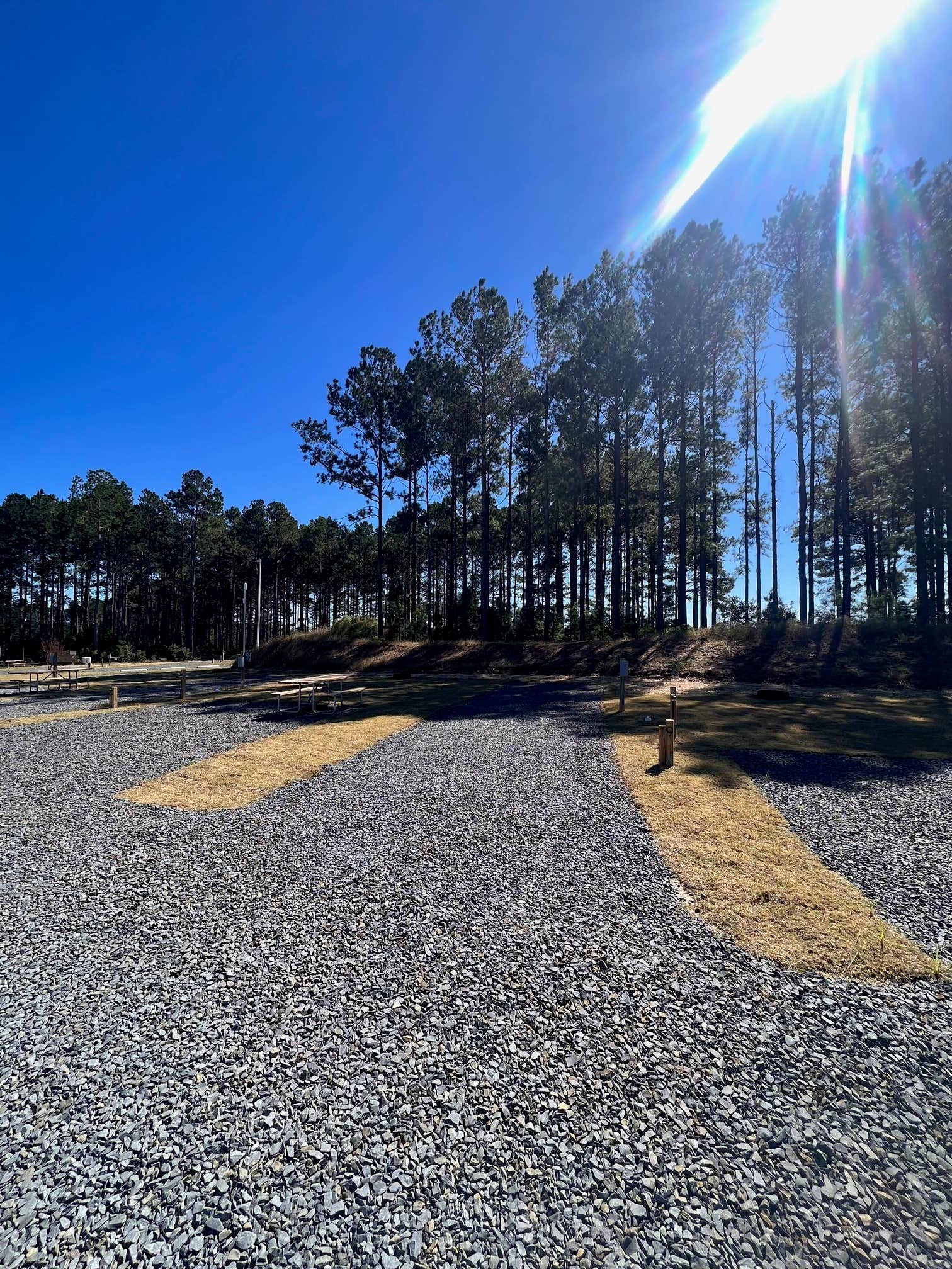 Camper-submitted photo at In The Pines RV & Cabin Village near Leland, NC