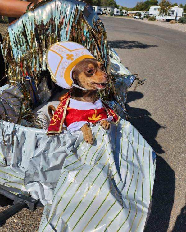Erin F.'s photo of camping with pets at Verde Ranch RV Resort near Cottonwood, AZ