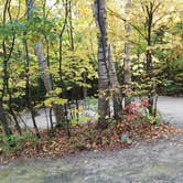 Review photo of Hancock Campground by Jean C., November 1, 2018