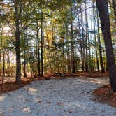 Review photo of Colonial Pines Campground At Williamsburg Christian Retreat Center by Laura M., November 9, 2023