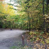 Review photo of Hancock Campground by Jean C., November 1, 2018