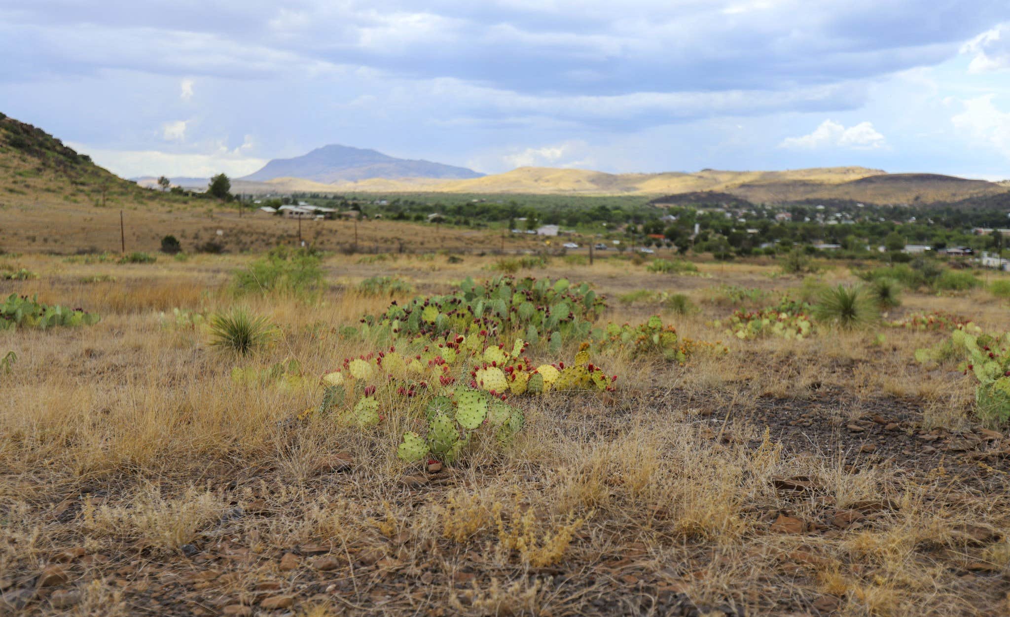 Camper-submitted photo at Mountain View Lodge near Fort Davis, TX