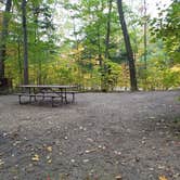 Review photo of Hancock Campground by Jean C., November 1, 2018