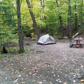 Review photo of Hancock Campground by Jean C., November 1, 2018