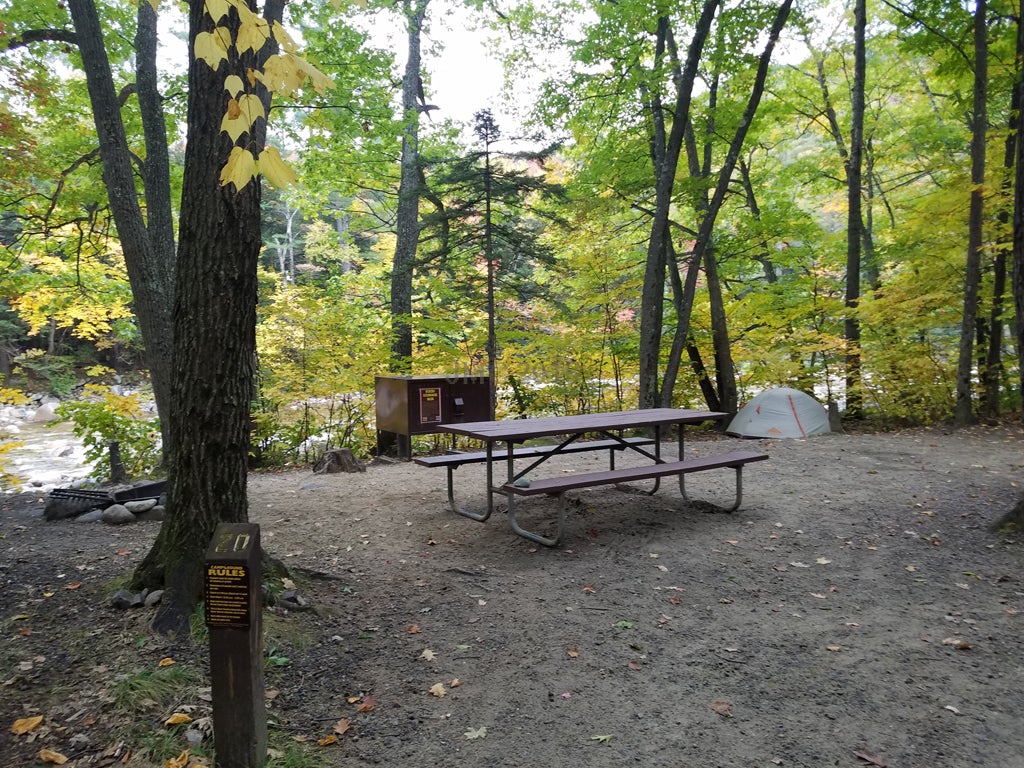 Site 20, waterfront, walk-in tent site, Hancock Campground