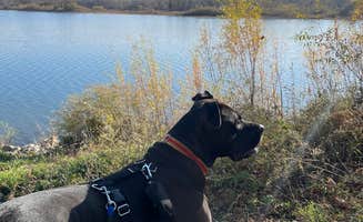 Lisa T.'s photo of camping with pets at George Wyth State Park Campground near Waterloo, IA