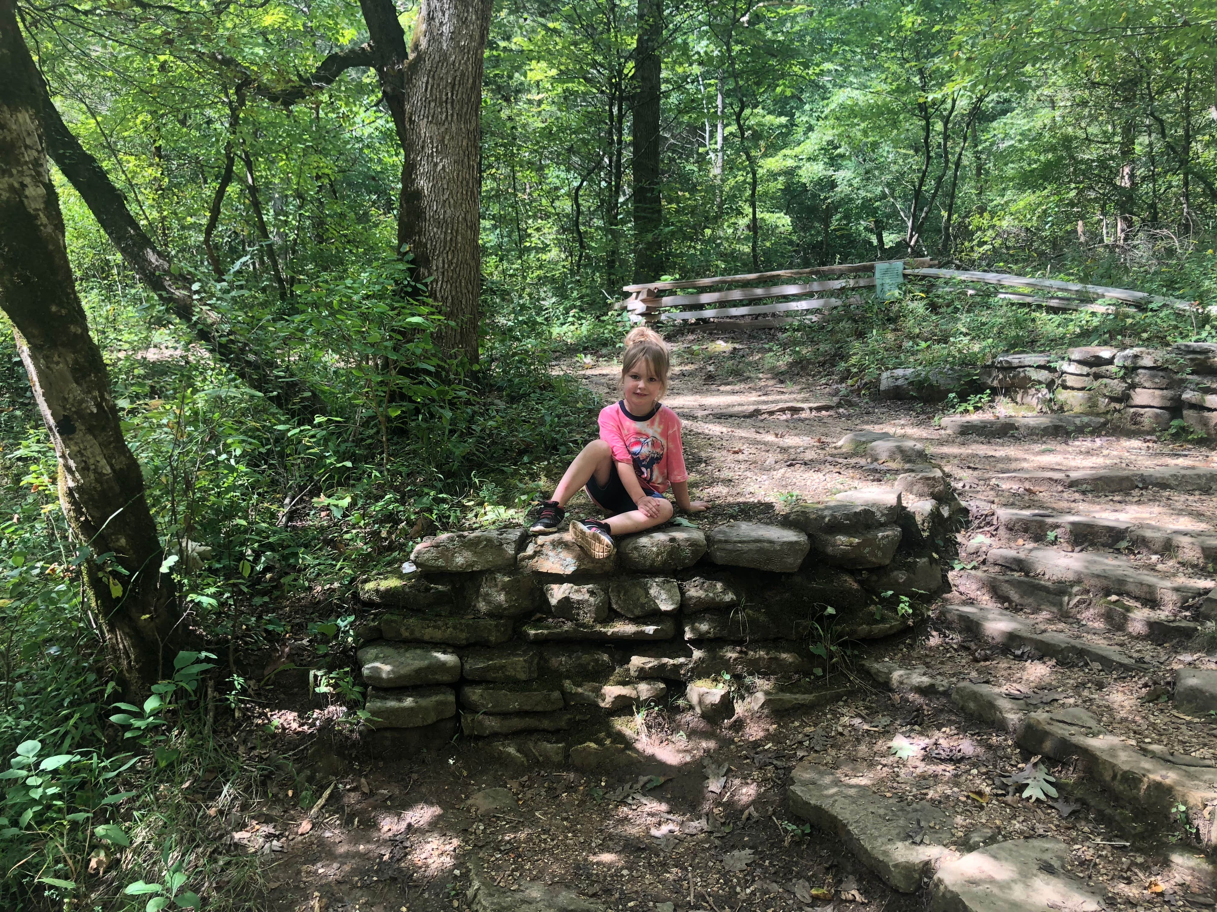 Old CCC steps