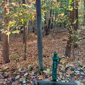 Review photo of Greenbelt Park Campground — Greenbelt Park by Laura M., November 11, 2023