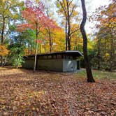 Review photo of Greenbelt Park Campground — Greenbelt Park by Laura M., November 11, 2023