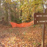 Review photo of Greenbelt Park Campground — Greenbelt Park by Laura M., November 11, 2023