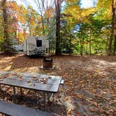 Review photo of Greenbelt Park Campground — Greenbelt Park by Laura M., November 11, 2023