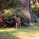 Review photo of Fort Stevens State Park Campground by MickandKarla W., November 12, 2023