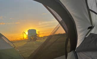 Abbie N.'s photo at Moonlight Harvest Farms near LaBelle, FL