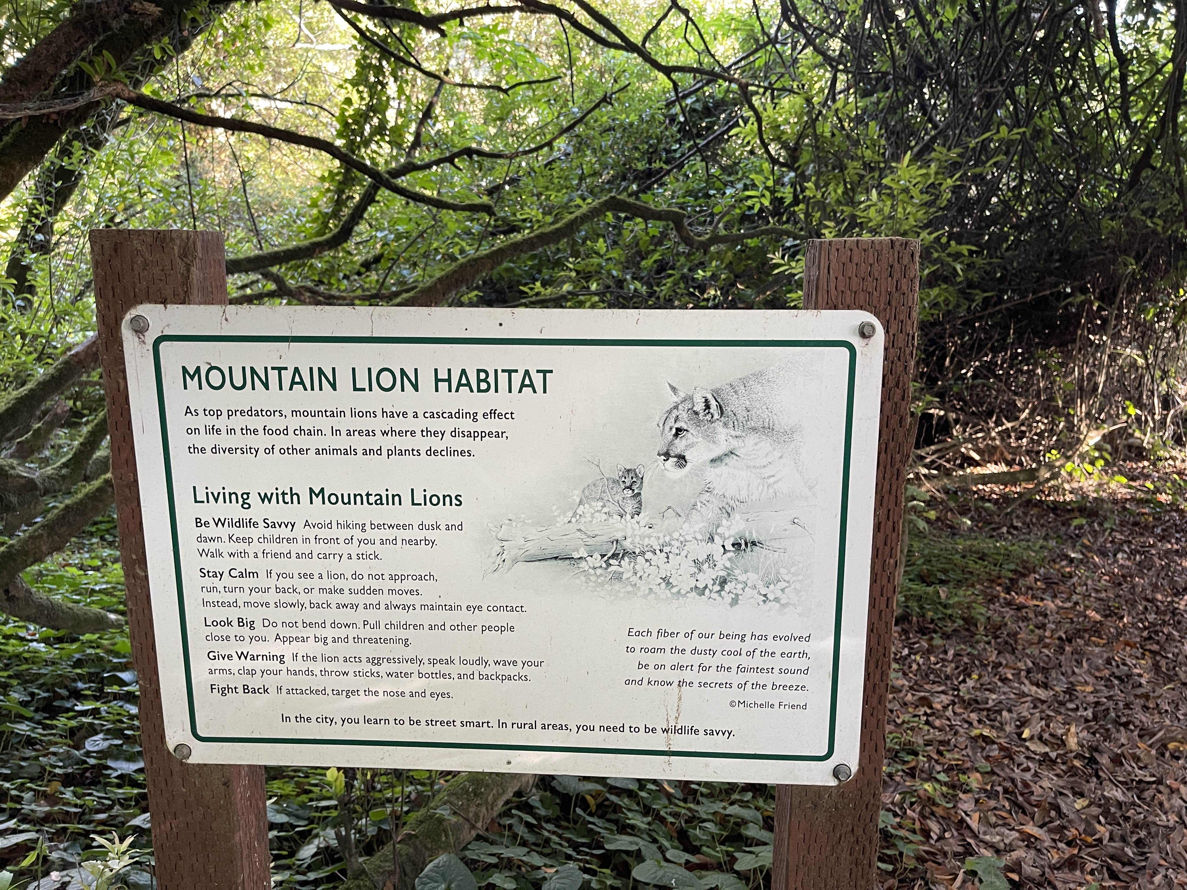 Lee D.'s photo of camping with pets at Gualala Point Regional Park near The Sea Ranch, CA