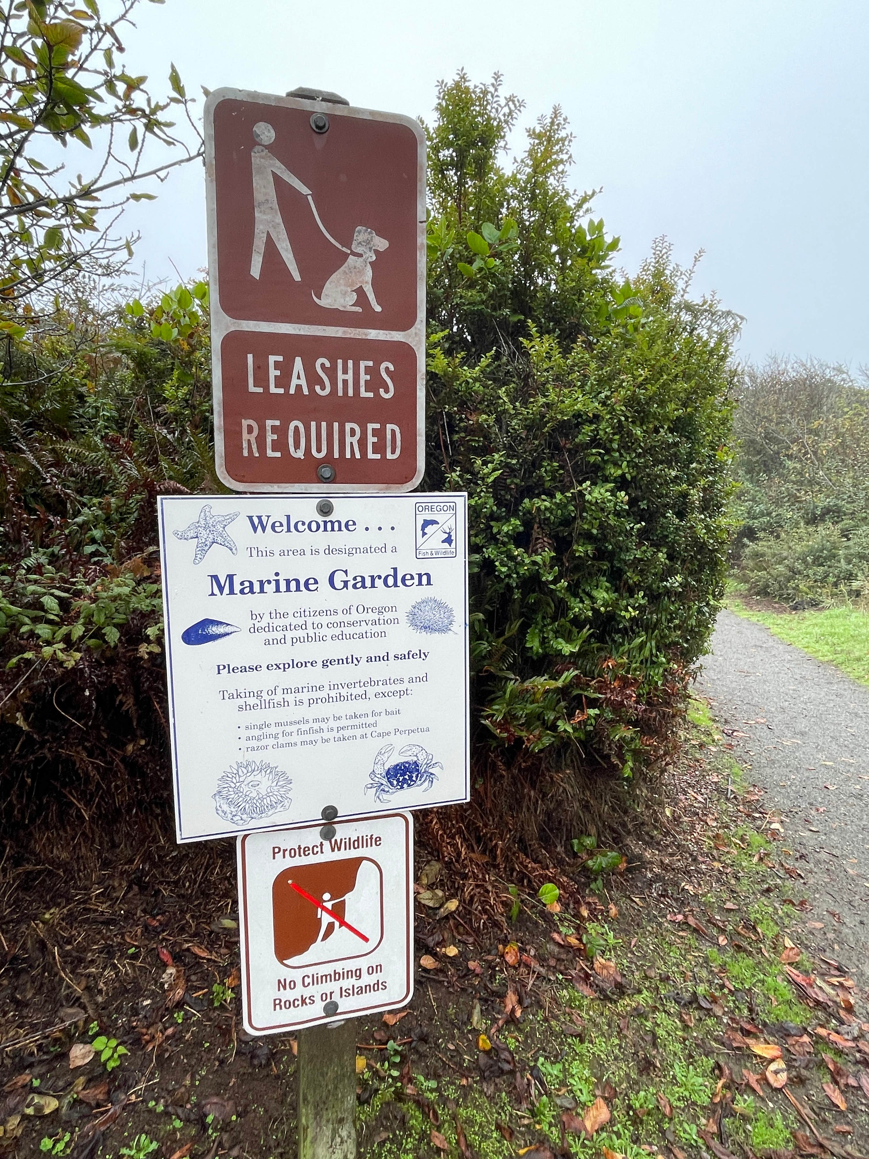 Lee D.'s photo of camping with pets at Harris Beach State Park Campground near Smith River, CA