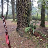 Review photo of Harris Beach State Park Campground by Lee D., November 13, 2023