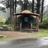 Review photo of Harris Beach State Park Campground by Lee D., November 13, 2023