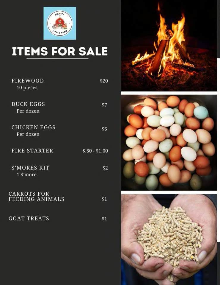 Camper-submitted photo at Big City Little Farm near Hufsmith, TX