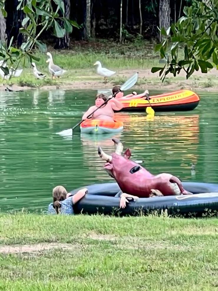 Camper-submitted photo at Big City Little Farm near Hufsmith, TX